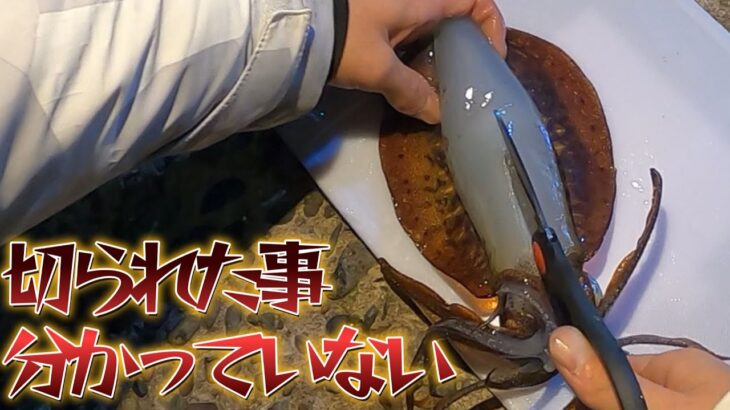 【究極】生きたままイカを揚げて食べてみた！