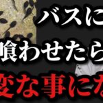 【村田基】オタマジャクシをバスに喰わせたら大変な事になります【村田基切り抜き】