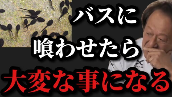 【村田基】オタマジャクシをバスに喰わせたら大変な事になります【村田基切り抜き】