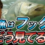 ルアーフックが釣果を左右する　村岡昌憲【切り抜き】