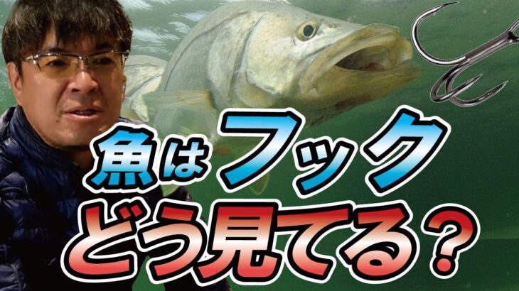 ルアーフックが釣果を左右する　村岡昌憲【切り抜き】