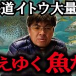 日本近海の全魚種が消える　村岡昌憲【切り抜き】