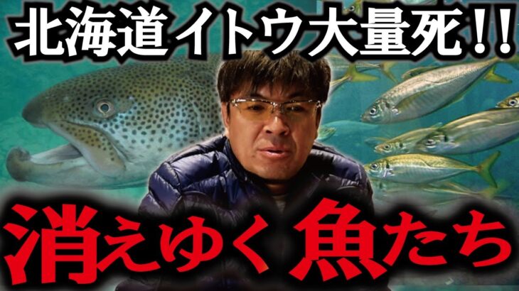 日本近海の全魚種が消える　村岡昌憲【切り抜き】