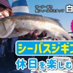 シーバスジギングで休日を楽しむ・東京湾