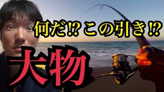 久しぶりに遠州灘サーフへルアー釣りに行ったら大物が…