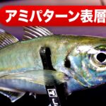 【釣果に差が出る】冬のアジング “ 潮流 ” ローテーションで良型連発！ / アミパターン / 漁港・堤防 / 一宮安幸