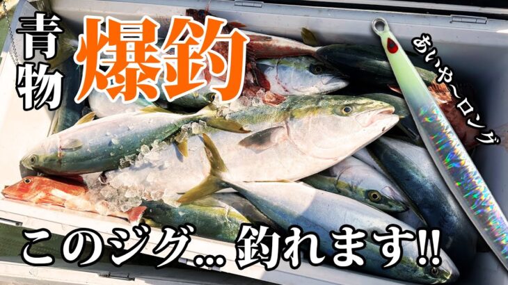 【沼島】真冬のジギング！青物爆釣！このジグが凄かった….！！