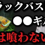 【村田基】ブラックバスは●●したブルーギルを実は食べません【村田基切り抜き】