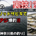 【超簡単】流行りのハイブリッドサビキ!!サビキ釣りで超簡単にアジが爆釣する裏技はあるのか？実釣、検証動画です‼