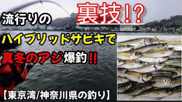 【超簡単】流行りのハイブリッドサビキ!!サビキ釣りで超簡単にアジが爆釣する裏技はあるのか？実釣、検証動画です‼