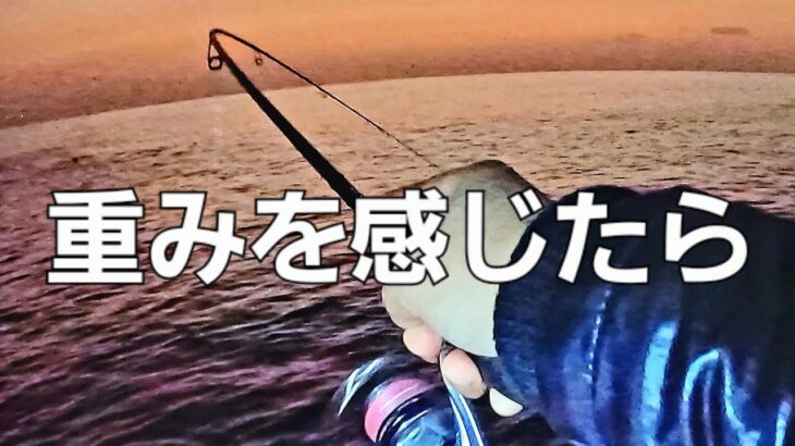 掛けるアジングが堪らない！大アジ狙いの釣り方はこれが多い。