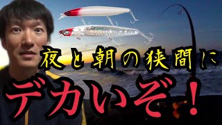 【遠州灘サーフ】前日大物をバラしたスポットへ暗い内から釣りに行ったら…