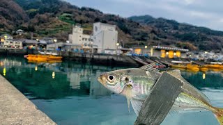 夕方の誰もいない堤防でアジング！釣りと温泉の旅。