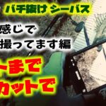 ２月初旬バチ抜けシーバス！ヒットまでをノーカットで – 計測、撮影、リリースはいつもこんな感じ編 – 東京湾奥シーバス