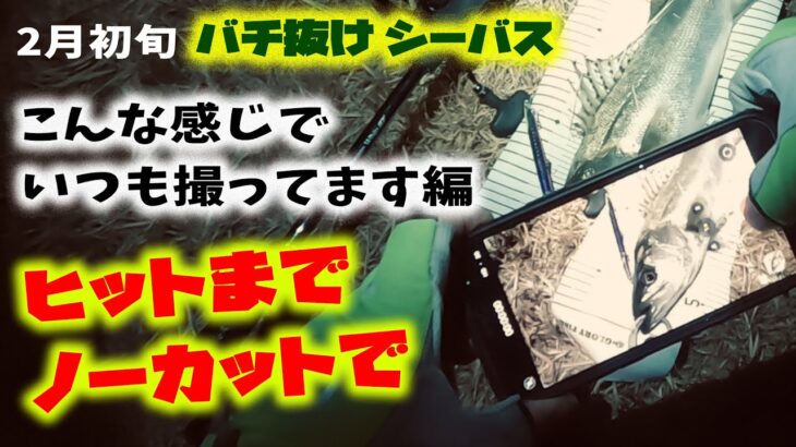 ２月初旬バチ抜けシーバス！ヒットまでをノーカットで – 計測、撮影、リリースはいつもこんな感じ編 – 東京湾奥シーバス