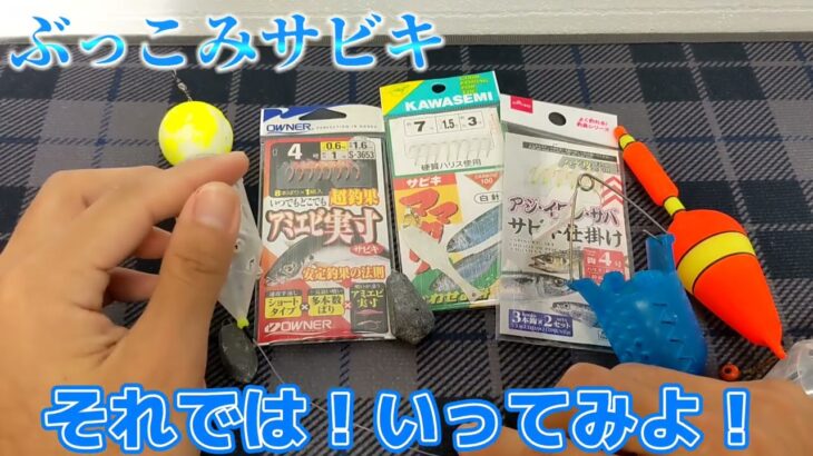 【サビキ釣り】冬の低活性アジが釣れる⁉ブッコミサビキとは！