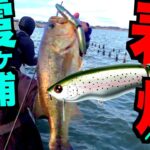 【バス釣り】今、霞ヶ浦が春爆ヤバイことになってんぞ！！