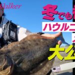 【ヒラメ釣り】ハウルのゴリ巻きメソッド！シャロー攻略法大公開！