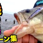 【バス釣り】爆烈必死！春のミノーパターン集をご覧あれ！