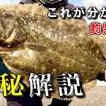 劇的にヒラメが釣れるようになる近道を暴露します【初心者〜上級者向け】ルアー釣り