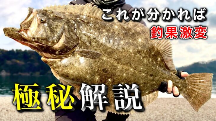 劇的にヒラメが釣れるようになる近道を暴露します【初心者〜上級者向け】ルアー釣り