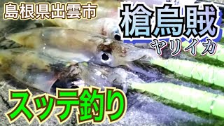 冬の定番！！ヤリイカをウキ釣りで狙う！