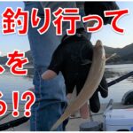 【イカ釣りキス釣り】二刀流！はたして釣れますか…