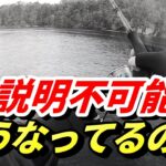 「過去最高にヤバイ」これが満月大潮のヤリイカエギングなのか！？