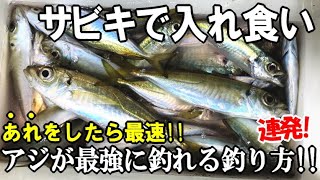 最強にアジの釣果が変わるウキサビキ釣り！足下でも沖でもアジが連発する王道の仕掛けと釣法のコツ！まさかの獲物も釣れた！⇒激うまアジ料理特集【やすまるだし】タイアップ