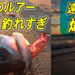 遠州灘サーフでシーバスが・・・やばい釣れる　後半