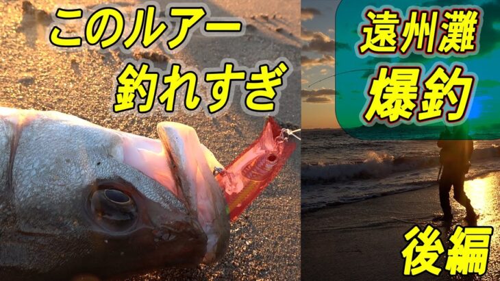 遠州灘サーフでシーバスが・・・やばい釣れる　後半