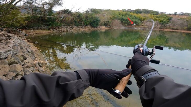 入手困難確実… この春、大注目の新作ルアーを実釣＆解説します「バス釣り」「野池、川」「初心者」