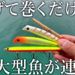 【ルアー釣りを始めるなら今！】巻くだけで大型魚が連発！一年で最も大物が釣れるバチ抜けの釣りを紹介