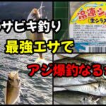 【アジのサビキ釣り】注目のエサ、話題のサビキ釣り最強エサ!!冷凍シロメ（生シラス）でアジ爆釣なるか!?