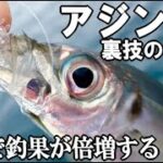 【誰でも簡単】アジングの釣果が倍増する仕掛け！さくっと遊んでみたらアジやカマスが連発！伝家の宝刀あの裏技でも一撃だった