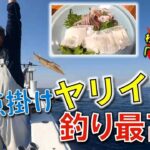 多点掛け【イカ釣り】最高です。