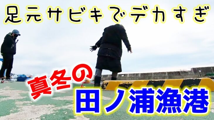 【サビキ釣り】和歌山【田ノ浦漁港】夫婦で真冬もサビキ釣り♪足元サビキでかかった大物の正体は？