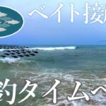 【連発】なんて日だっ…！！ サーフの◯◯で「ベイト」が接近し連続ヒット！！【釣り】