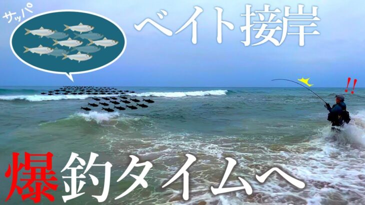 【連発】なんて日だっ…！！ サーフの◯◯で「ベイト」が接近し連続ヒット！！【釣り】