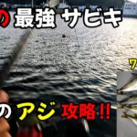 【サビキ釣り】リメイク仕掛け!!簡単にアジが釣れる最強仕掛けに変身!!東京湾、真冬の実釣動画です。