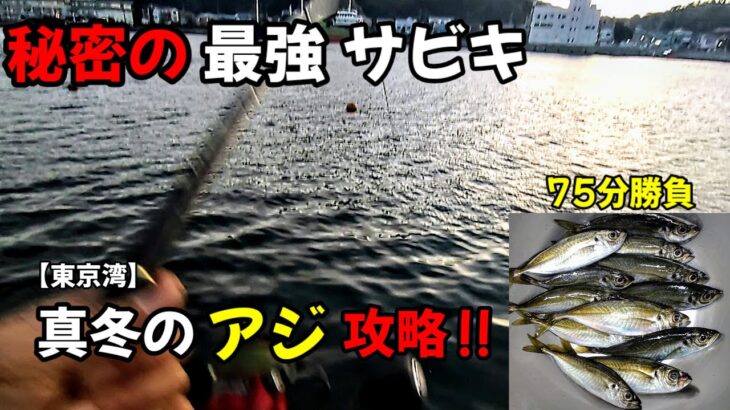 【サビキ釣り】リメイク仕掛け!!簡単にアジが釣れる最強仕掛けに変身!!東京湾、真冬の実釣動画です。