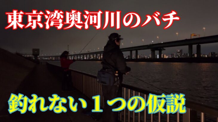 【シーバス】東京湾奥河川のバチ抜けで釣れない訳が分かった気がします