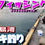 宇和島湾釣り  サビキ釣り　猫と釣り