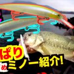 【春のバス釣り】春の陸っぱり超おすすめのバス釣りルアーはこれだ！