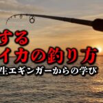 【エギング】回遊するデカイカを釣りたくて○○を狙ってみた！凄腕中学生エギンガーからの学び！