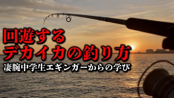 【エギング】回遊するデカイカを釣りたくて○○を狙ってみた！凄腕中学生エギンガーからの学び！