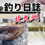 【イカ釣り】北九州釣り❗️粘った一日の釣果🎣