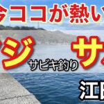 【江田島　柿浦漁港】サビキ釣りで大物狙い‼　誰でも簡単に釣れる??🎣