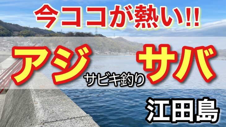 【江田島　柿浦漁港】サビキ釣りで大物狙い‼　誰でも簡単に釣れる??🎣