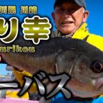 つり幸・神奈川県川崎・シーバス【釣りビジョン マガジン】